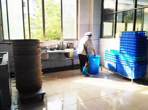 绣湖中学两校区食堂荣获金华市2018年度餐饮服务食品安全A级单位